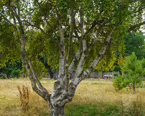 EXPLORING BLACKROCK PUBLIC PARK [10 AUGUST 2024]-238291-1