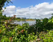 BOOTERSTOWN RAILWAY STATION [AND THE IMMEDIATE AREA]-238474-1