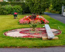 FLOWERS AT THE BOTANIC GARDENS IN GLASNEVIN [SCULPTURE IN CONTEXT 2024 WAS CANCELLED]-239393-1