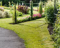 FLOWERS AT THE BOTANIC GARDENS IN GLASNEVIN [SCULPTURE IN CONTEXT 2024 WAS CANCELLED]-239395-1