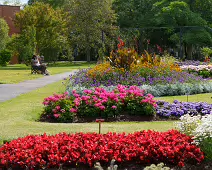 FLOWERS AT THE BOTANIC GARDENS IN GLASNEVIN [SCULPTURE IN CONTEXT 2024 WAS CANCELLED]-239399-1