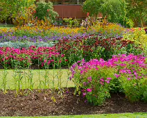 FLOWERS AT THE BOTANIC GARDENS IN GLASNEVIN [SCULPTURE IN CONTEXT 2024 WAS CANCELLED]-239400-1