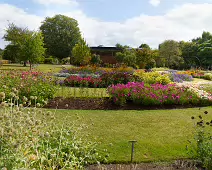 FLOWERS AT THE BOTANIC GARDENS IN GLASNEVIN [SCULPTURE IN CONTEXT 2024 WAS CANCELLED]-239401-1