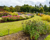 FLOWERS AT THE BOTANIC GARDENS IN GLASNEVIN [SCULPTURE IN CONTEXT 2024 WAS CANCELLED]-239402-1