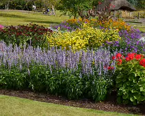 FLOWERS AT THE BOTANIC GARDENS IN GLASNEVIN [SCULPTURE IN CONTEXT 2024 WAS CANCELLED]-239404-1