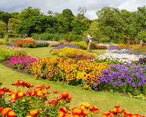 FLOWERS AT THE BOTANIC GARDENS IN GLASNEVIN [SCULPTURE IN CONTEXT 2024 WAS CANCELLED]-239405-1