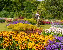 FLOWERS AT THE BOTANIC GARDENS IN GLASNEVIN [SCULPTURE IN CONTEXT 2024 WAS CANCELLED]-239406-1