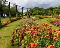 FLOWERS AT THE BOTANIC GARDENS IN GLASNEVIN [SCULPTURE IN CONTEXT 2024 WAS CANCELLED]-239407-1