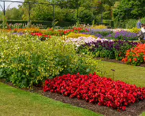 FLOWERS AT THE BOTANIC GARDENS IN GLASNEVIN [SCULPTURE IN CONTEXT 2024 WAS CANCELLED]-239409-1