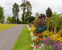 FLOWERS AT THE BOTANIC GARDENS IN GLASNEVIN [SCULPTURE IN CONTEXT 2024 WAS CANCELLED]-239413-1