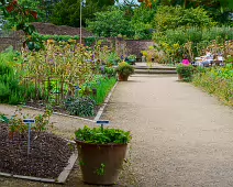 THE FRUIT AND VEGETABLE GARDEN [BOTANIC GARDENS DUBLIN]-239415-1