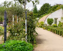 THE FRUIT AND VEGETABLE GARDEN [BOTANIC GARDENS DUBLIN]-239416-1