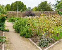 THE FRUIT AND VEGETABLE GARDEN [BOTANIC GARDENS DUBLIN]-239418-1