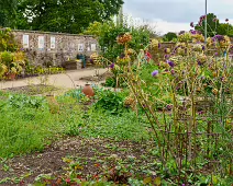 THE FRUIT AND VEGETABLE GARDEN [BOTANIC GARDENS DUBLIN]-239426-1