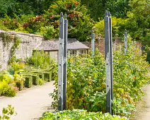 THE FRUIT AND VEGETABLE GARDEN [BOTANIC GARDENS DUBLIN]-239434-1