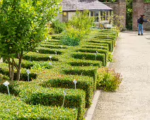 THE FRUIT AND VEGETABLE GARDEN [BOTANIC GARDENS DUBLIN]-239436-1