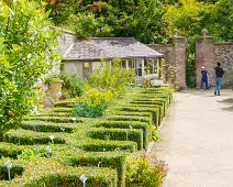 THE FRUIT AND VEGETABLE GARDEN [BOTANIC GARDENS DUBLIN]-239437-1