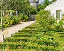 THE FRUIT AND VEGETABLE GARDEN [BOTANIC GARDENS DUBLIN]-239439-1