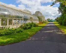 SOME OF THE GLASSHOUSES AT THE BOTANIC GARDENS [28 AUGUST 2024]-239333-1