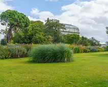 SOME OF THE GLASSHOUSES AT THE BOTANIC GARDENS [28 AUGUST 2024]-239335-1