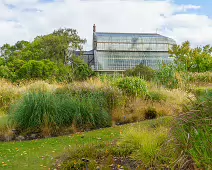 SOME OF THE GLASSHOUSES AT THE BOTANIC GARDENS [28 AUGUST 2024]-239336-1