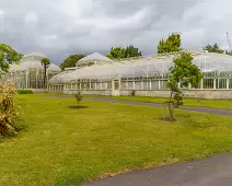 SOME OF THE GLASSHOUSES AT THE BOTANIC GARDENS [28 AUGUST 2024]-239341-1