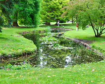 THE POND AREA OF THE BOTANIC GARDENS THE POND AREA OF THE BOTANIC GARDENS