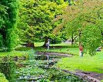 THE POND AREA OF THE BOTANIC GARDENS [28 AUGUST 2024]--239347-1