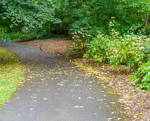 THE POND AREA OF THE BOTANIC GARDENS [28 AUGUST 2024]--239348-1