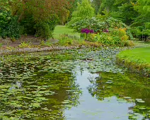 THE POND AREA OF THE BOTANIC GARDENS [28 AUGUST 2024]--239355-1