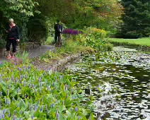 THE POND AREA OF THE BOTANIC GARDENS [28 AUGUST 2024]--239358-1