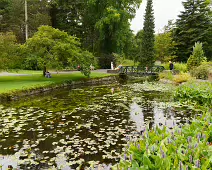 THE POND AREA OF THE BOTANIC GARDENS [28 AUGUST 2024]--239360-1