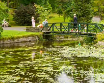 THE POND AREA OF THE BOTANIC GARDENS [28 AUGUST 2024]--239361-1