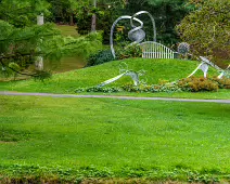 THE POND AREA OF THE BOTANIC GARDENS [28 AUGUST 2024]--239362-1