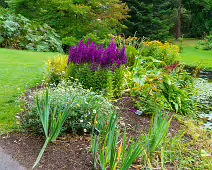 THE POND AREA OF THE BOTANIC GARDENS [28 AUGUST 2024]--239364-1