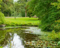 THE POND AREA OF THE BOTANIC GARDENS [28 AUGUST 2024]--239370-1