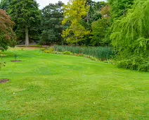 THE POND AREA OF THE BOTANIC GARDENS [28 AUGUST 2024]--239372-1