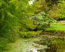 POND AREA