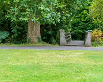 THE POND AREA OF THE BOTANIC GARDENS [28 AUGUST 2024]--239379-1