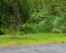 THE POND AREA OF THE BOTANIC GARDENS [28 AUGUST 2024]--239380-1