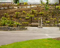 THE POND AREA OF THE BOTANIC GARDENS [28 AUGUST 2024]--239382-1