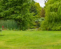 THE POND AREA OF THE BOTANIC GARDENS [28 AUGUST 2024]--239383-1