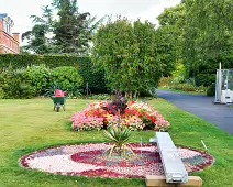 FLOWERS AT THE BOTANIC GARDENS IN GLASNEVIN [SCULPTURE IN CONTEXT 2024 WAS CANCELLED]-239392-1