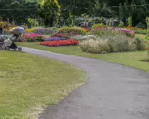 FLOWERS AT THE BOTANIC GARDENS IN GLASNEVIN [SCULPTURE IN CONTEXT 2024 WAS CANCELLED]-239394-1