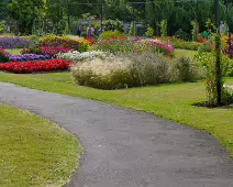 FLOWERS AT THE BOTANIC GARDENS IN GLASNEVIN [SCULPTURE IN CONTEXT 2024 WAS CANCELLED]-239396-1