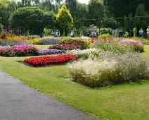 FLOWERS AT THE BOTANIC GARDENS IN GLASNEVIN [SCULPTURE IN CONTEXT 2024 WAS CANCELLED]-239397-1