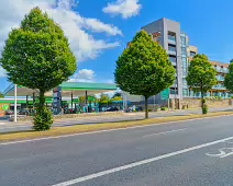 BUS STOP 2068 [STILLORGAN ROAD]-238482-1