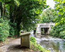 MILLTOWN SECTION OF THE DODDER TRAIL [DOGS ARE WELCOME BUT MUST BE ON A LEASH]-239198-1