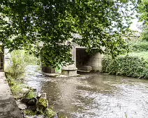 MILLTOWN SECTION OF THE DODDER TRAIL [DOGS ARE WELCOME BUT MUST BE ON A LEASH]-239199-1