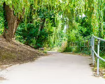 MILLTOWN SECTION OF THE DODDER TRAIL [DOGS ARE WELCOME BUT MUST BE ON A LEASH]-239200-1